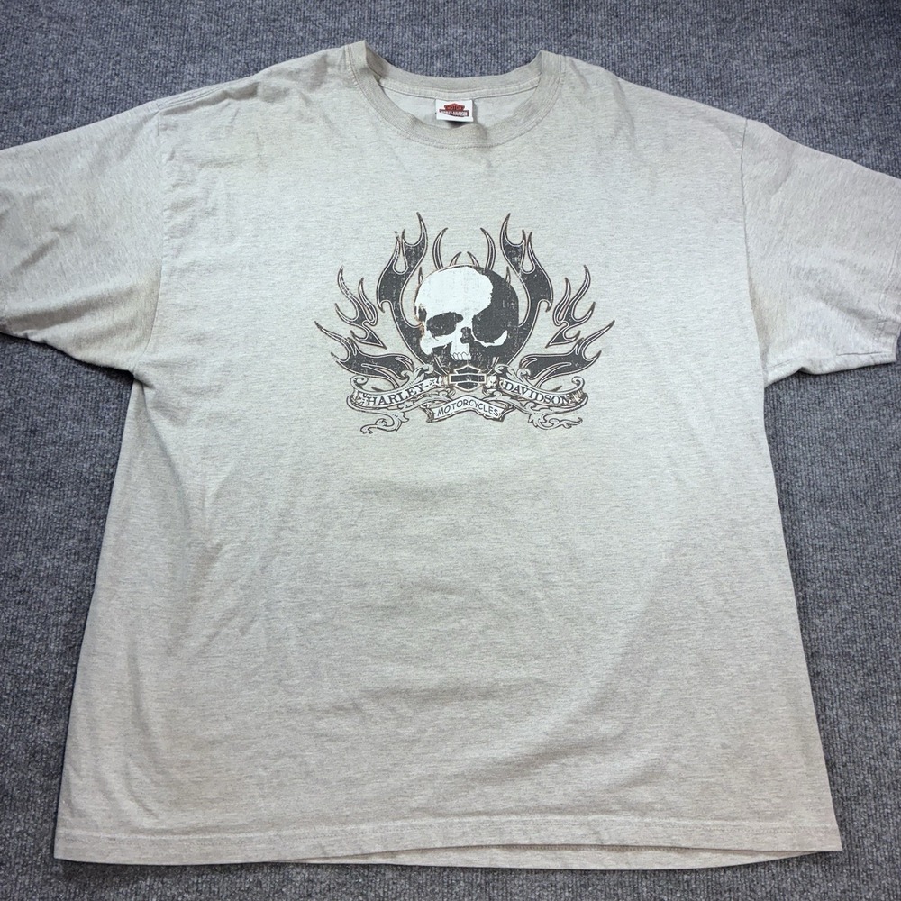 2007 Harley Davidson Chester's Mesa Arizona T Shirt Skull Motorcycle Hanes Beefy